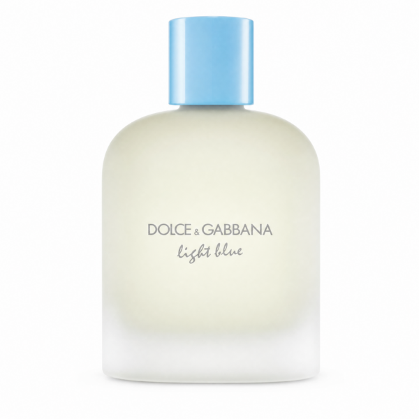 Dolce & Gabbana Light Blue pour Homme Eau De Toilette 100 ml herengeur