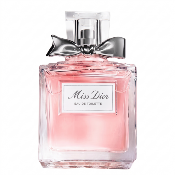 Christian Dior Miss Dior 2019 Eau de Toilette 100 ml flacon – luxe damesparfum