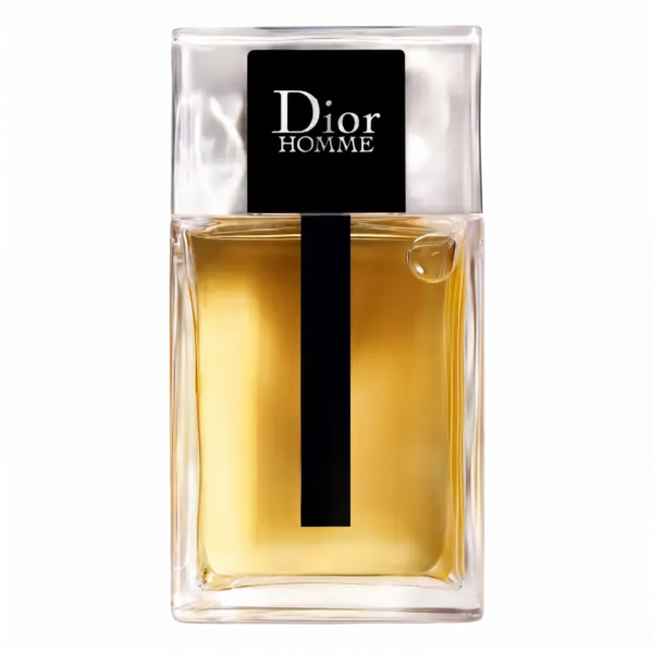 Dior Homme Eau de Toilette 100 ml - herenparfum
